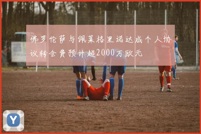 佛罗伦萨与佩莱格里诺达成个人协议转会费预计超2000万欧元